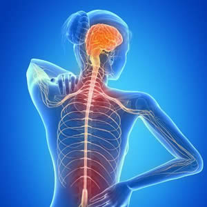 esclerose multipla em maringá fisioterapeuta maringa fisioterapia em maringa