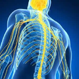 lesao medular em maringá fisioterapeuta maringa fisioterapia em maringa